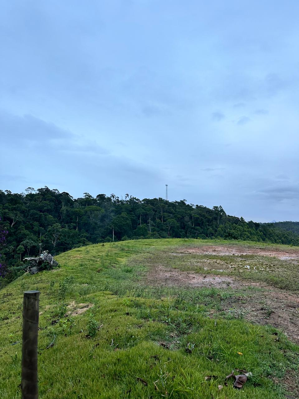 Imagem 6 da propriedade